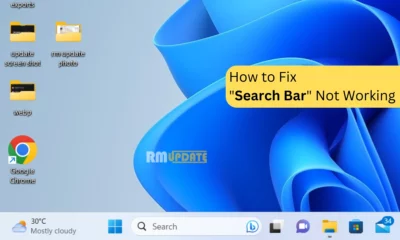 How to fix search bar not working