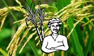 Documents to be submitted for PM Kisan Yojana